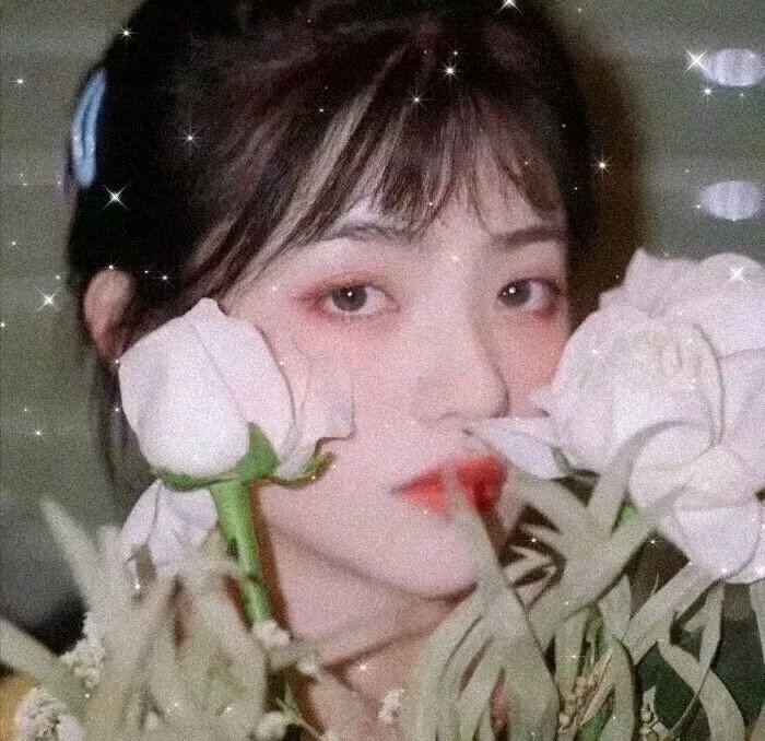 热门电视剧推荐